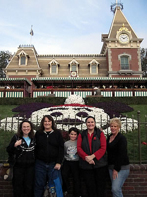 Disneyland Evironmental Impact